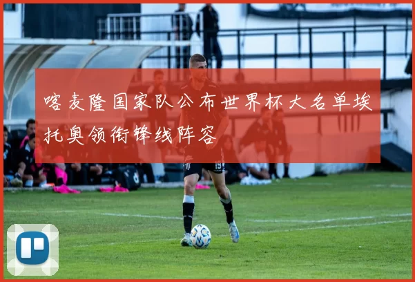 喀麦隆国家队公布世界杯大名单埃托奥领衔锋线阵容