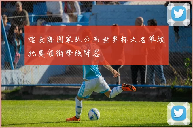 喀麦隆国家队公布世界杯大名单埃托奥领衔锋线阵容