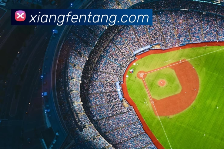 星空体育首页入口APP 封面图